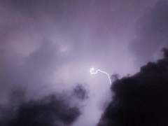 君を同情しない