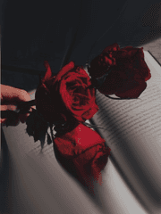 우리가 사랑했던 여름으로 가자