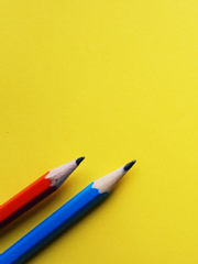 애니 2차 창작 글들