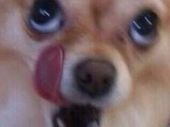 반야에 온 손님 < 6 >