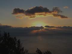 개막장 인생이야기