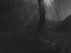 {엑소빙의글/역하렘}그림자_05