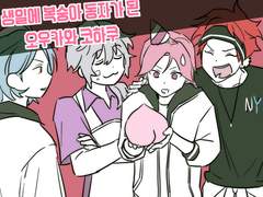 오우카와 코하쿠 생일 게임