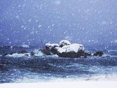 바뀌는 계절 속