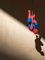 스파이더맨(과 친구들)