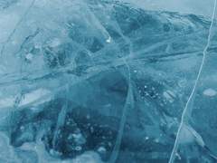 백시혁 | XY | 19 | 어둠