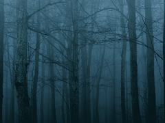 사마 시리즈에 대한 이야기