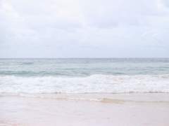 썰물에 쓸려간 비밀이 있어