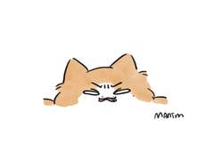 전집사쭌냥 원휘 위주 연성 백업 2