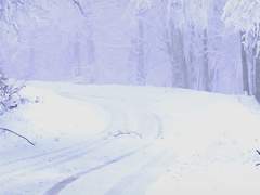 𝕎𝕙𝕒𝕥 𝕛𝕠𝕪 𝕠𝕗 𝕤𝕖𝕒𝕤𝕠𝕟 𝕒𝕣𝕖 𝕪𝕠𝕦