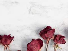 다른 사랑으로도