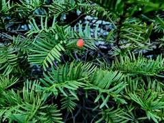 여태 찍은 사진들