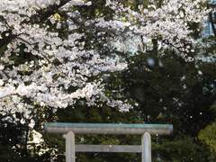 [rps] 너는 다시 태어나려고 기다리고 있어