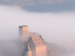 #레이드_보스가_된_자캐