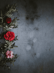 이세계에 마스터로 소환된 내가 전사보다 강하다.