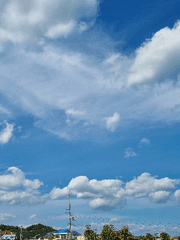 2022 포레스텔라 전력