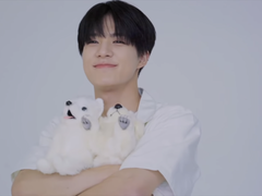 명의님 용안이 만병통치약이네요 +