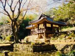 운명의 붉은 실 1