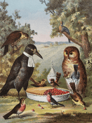 오재하의 이야기