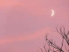 Любовь - это стекло. Если поймать слишком сильно, то сломаться.