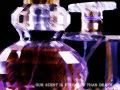 우리의 향기는 죽음보다 강하다