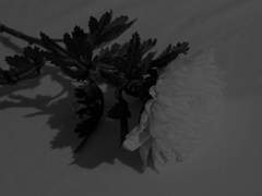 떠난 이를 추모하며,