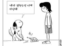 청개구리