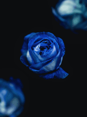 우리 서로는 웃을 수 있게