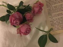 영원히라는 말이 현실이 되기까지