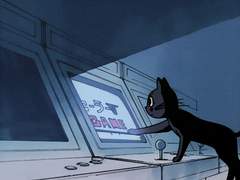 [ 잠뜰 tv / 수이플 ] 1. 시작과 끝