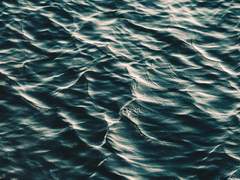 조용히 고여 당신을 비추기도 하고