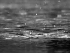 [주술회전 / 토우지 드림] 인어의 바다