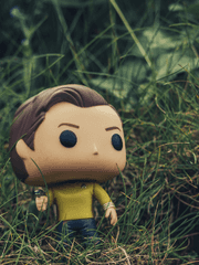 SPACE THE FINAL FRONTIER