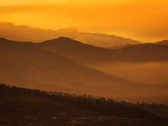 [알베록수] 그늘진 세상