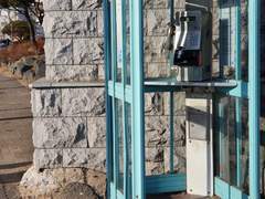 [2022.01.31~2022.02.06] 2022년 산책일기 4주차