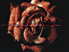 주파수에게 입맞춤을 01