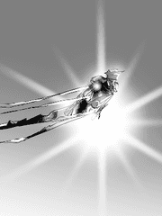 [BL] 새벽의 목소리