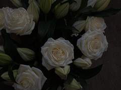 네가 없는 세상에서