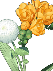 애프터 해피 엔딩 ~리틀 필리서스의 관찰기~