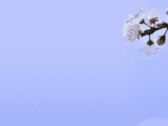 [필로스_여행자_공개 프로필]