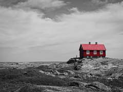 [다자츄] 흑백 속의 너