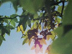 [금영영인] 너무 오랜만에 처음이라서