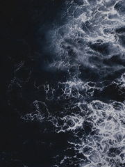 전지적 독자 시점