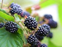 ༊*·˚나한테 들키면 벌점입니다.