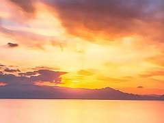 [𝙿𝚁𝙾𝙵𝙸𝙻𝙴] 한 남효 𝚇𝚢