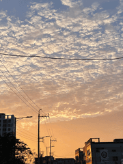 평생 잊지 못할 순간