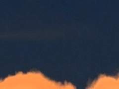 신라양에게 사람이란