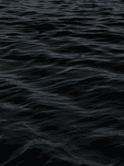 세카이 중재자가 나라고?