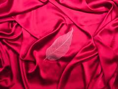 온윤溫潤/15/주작성도