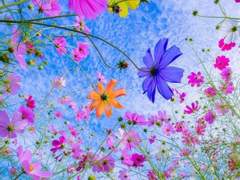 신의 존재를 어찌 증명할 수 있는가/이어령